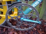 Matt_Curly_bike_Chainring-huge.jpg