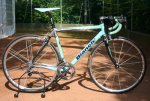 bianchi%20lrg.jpg