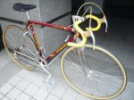 colnago_oval_cx1.jpg