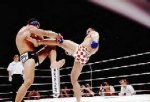 Crocop.jpg