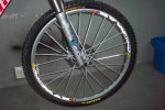 bici6.JPG