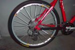 bici7.JPG