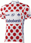 rabobank_pd_jersey05.gif