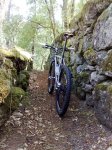 narrowSingletrack.jpg