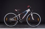 cube_bikes_2010_20090826_1374732188.jpg