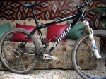 Specialized 007.jpg