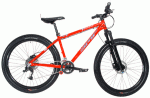 dmr_trailstar_bike_450.gif