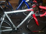 Pinarello Paris silver.jpg