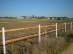 Image00016.jpg