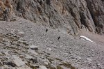 DSC_0806.jpg