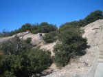 CIMG0070.jpg