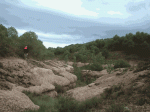 bco-del-salto2-g.gif