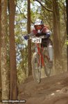 mtb40_264.jpg