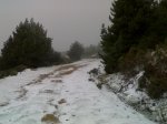 08112009847.jpg