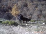 PICT0154.jpg