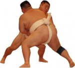 sumo.jpg