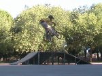 skateparktailwhip_0004.jpg