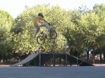 skateparktailwhip_0005.jpg