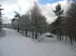 Neve 2010 041.jpg