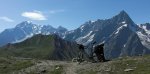 1077. Mont Blanc y Grandes Jorasses.jpg