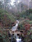 20012010_003.jpg