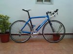 Orbea1..jpg