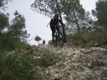 IMG_0736..jpg