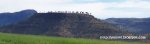Panorama 4.JPG