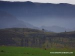 100_1294.JPG