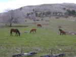 dscn0064.jpg