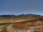 100B1640_1_2.jpg
