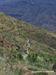 100_2433.JPG