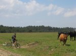 chorro 064.jpg