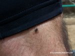 100_2577.JPG