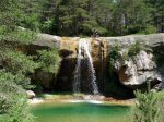 guara (Large).JPG