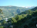 DSC01347.jpg