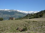DSC01363.jpg