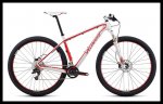 2011-specialized-stumpjumper-ht-29-expert-carbon01.jpg