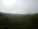 DSCN2469.jpg