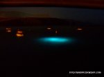 100_3243.JPG