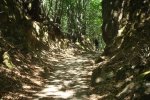 DSC03914.jpg