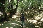 DSC03910.jpg