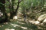 DSC03909.jpg
