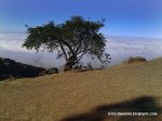 16072010262.jpg
