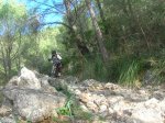 DSCN8786.jpg