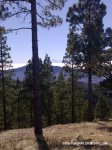 16072010265.jpg