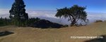 Panorama 5.JPG