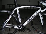 chinarello1.JPG