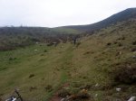 DSC02954.jpg