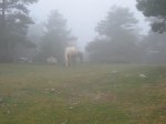 IMG_6289.jpg